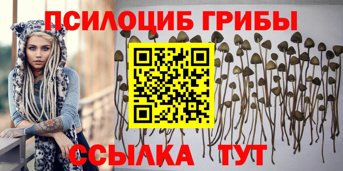 Псилоцибиновые грибы мухоморы Казань