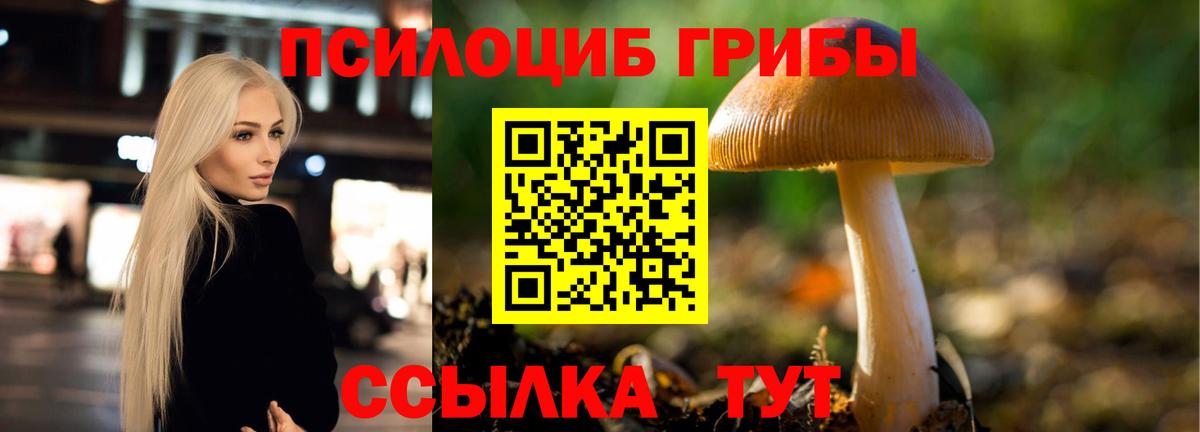 Галлюциногенные грибы мухоморы  Вход с VPN  Казань 