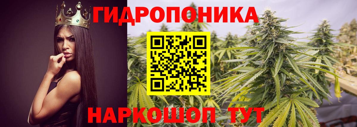Шишки марихуана план  МАРИХУАНА сатива  Бошки марихуана конопля  Казань  Марихуана White Widow  Вход с VPN 